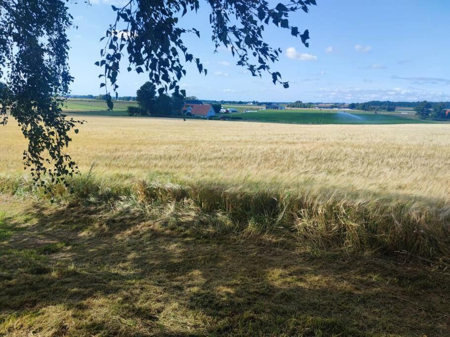 Willa Gaesthus Pa Oesterlen Med Naerhet Till Strand & Golf Ystad Zewnętrze zdjęcie